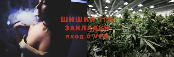 шишки Пересвет